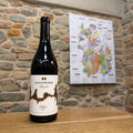 Livia Fontana Barolo Villero 2021