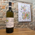 Burlotto Langhe Sauvignon Viridis 2025
